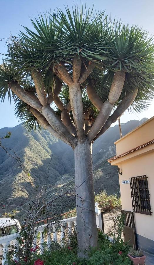 Casa Noni Villa Santa Cruz de Tenerife Exteriör bild